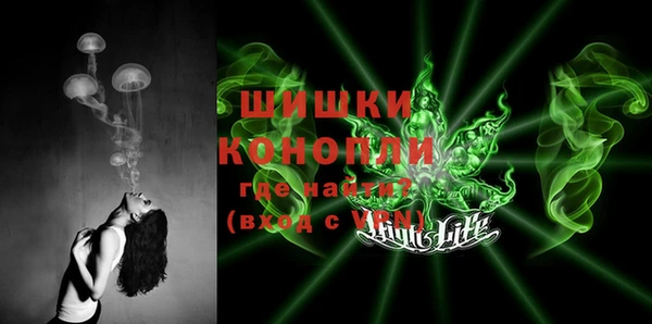 дживик Нягань
