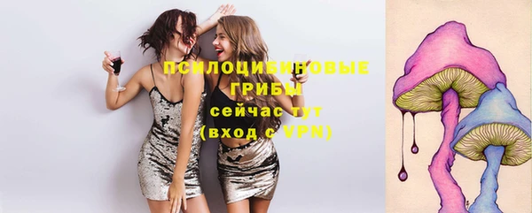 стаф Новозыбков