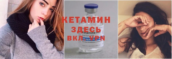 стаф Новозыбков