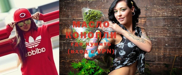 дмт Новодвинск