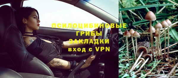 стаф Новозыбков