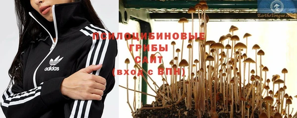 дмт Новодвинск