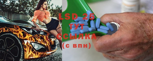 стаф Новозыбков