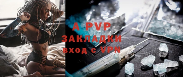 стаф Новозыбков