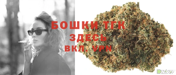 дживик Нягань