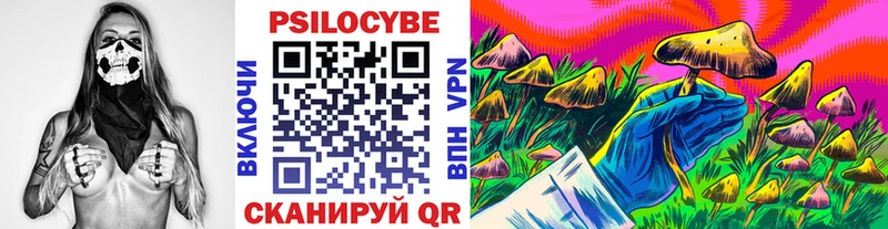 Галлюциногенные грибы мицелий  Котлас 