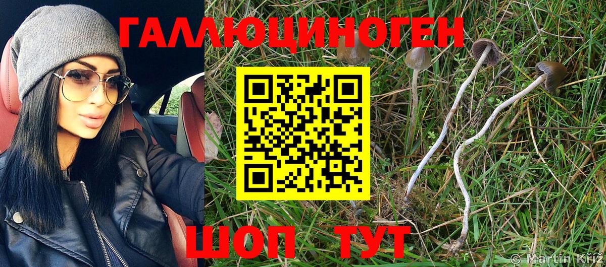 Псилоцибиновые грибы GOLDEN TEACHER Котлас