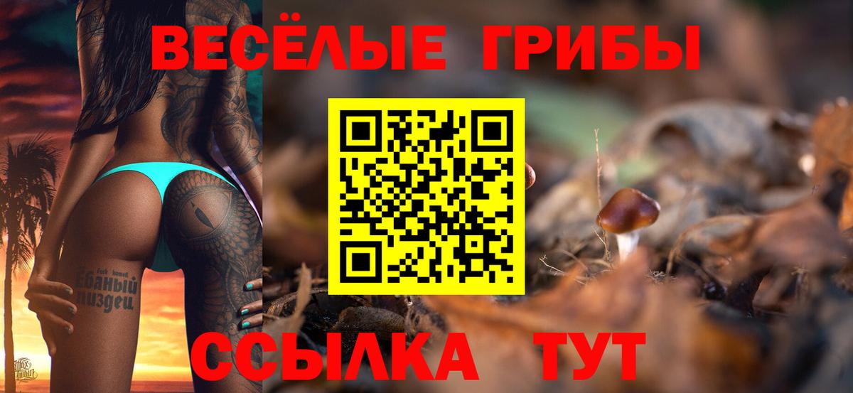 Псилоцибиновые грибы мухоморы  Вход с VPN  Котлас 