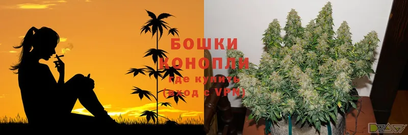 площадка состав  даркнет сайт  Котлас  Бошки Шишки SATIVA & INDICA 